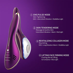 EMS Ice Warm Therapy Anti Wrinkle Skin Iron - Beautyic.co.uk