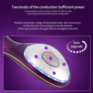 EMS Ice Warm Therapy Anti Wrinkle Skin Iron - Beautyic.co.uk