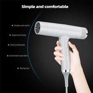 Professional Hair Blow Dryer Low Noise - Beautyic.co.uk