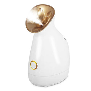 Facial Nano-Steamer - Beautyic.co.uk
