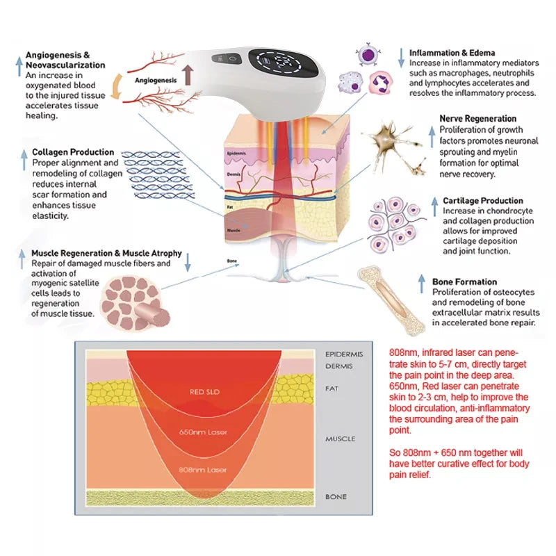 Cold Laser Therapy Device 808nm 650nm Dual Laser Pain Relief for Humans and Pets Red Light Physiotherapy LED Display Rechargeable Battery
