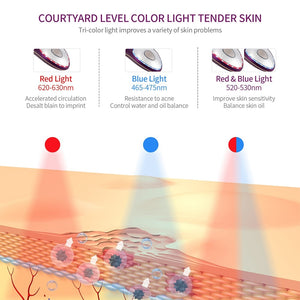 EMS Ice Warm Therapy Anti Wrinkle Skin Iron - Beautyic.co.uk