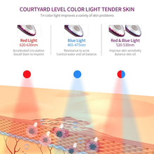 Load image into Gallery viewer, EMS Ice Warm Therapy Anti Wrinkle Skin Iron - Beautyic.co.uk
